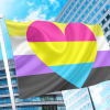 Non Binary Pansexual Flag PN0112 2x3 ft (60x90cm) / 2 Left Grommets Official PAN FLAG Merch