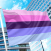 Omni Pride Flag - Omnisexual PN0112 2x3 ft (60x90cm) / 2 Grommets Left Official PAN FLAG Merch