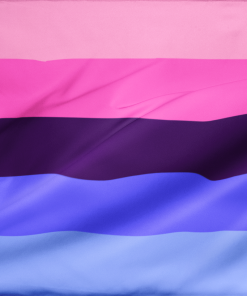 Omni Pride Flag - Omnisexual PN0112 2 - Lesbian Flag 2x3 ft (60x90cm) / No Grommets Official PAN FLAG Merch