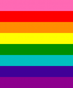 2x3 ft (60x90cm) / 4 Grommets Official PAN FLAG Merch