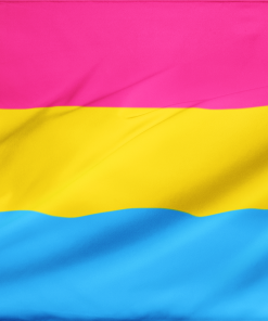 Pansexual LGBT Pride Flag PN0112 2 - Lesbian Flag 2x3 ft (60x90cm) Plain / 4 corner grommets Official PAN FLAG Merch