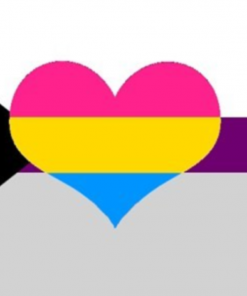 Demisexual Panromantic Pride Flag - Heart PN0112 4 - Lesbian Flag 2x3 ft (60x90 cm) / 4 Grommets Official PAN FLAG Merch