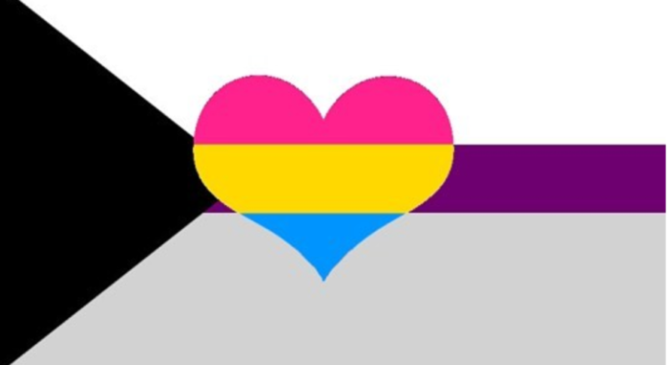 panromantic_demisexual1 2x3 ft (60x90 cm) / 4 Grommets Official PAN FLAG Merch