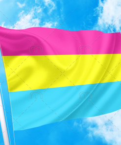 Pansexual LGBT Pride Flag PN0112 3 - Lesbian Flag 3x5 ft (90x150cm) Plain / 2 grommets left side Official PAN FLAG Merch