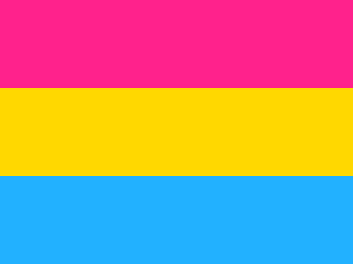 pansexual1 2x3 ft (60x90cm) Plain / No grommets Official PAN FLAG Merch