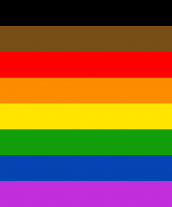 2x3 ft (60x90 cm) / 4 Grommets Official PAN FLAG Merch