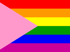 Pink Triangle Pride PN0112 2x3ft (60x90cm) Official PAN FLAG Merch