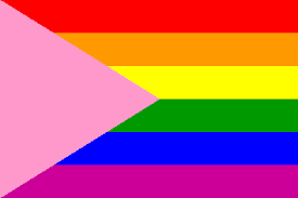 pink_pride Pink Triangle Pride PN0112 2x3ft (60x90cm) Official PAN FLAG Merch