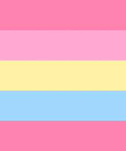 Panaesthetic Flag - Plural Aesthetic Flag PN0112 2 - Lesbian Flag 2x3 ft (60x90cm) / No Grommets Official PAN FLAG Merch