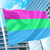 Polysexual Pride Flag PN0112 2x3 ft (60x90cm) / 2 Grommets Official PAN FLAG Merch
