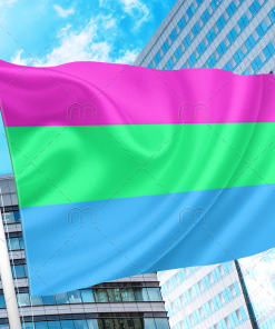 Polysexual Pride Flag PN0112 2x3 ft (60x90cm) / 2 Grommets Official PAN FLAG Merch