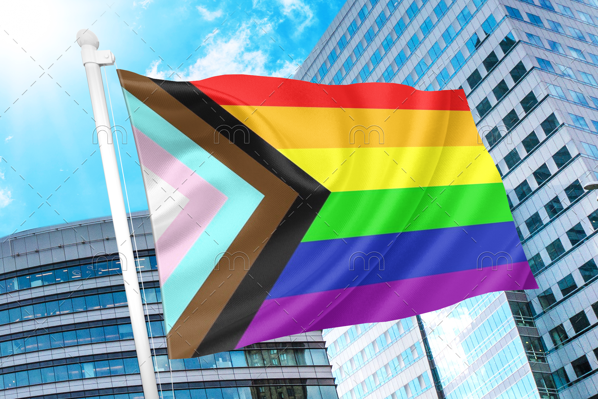progres Progress Pride Flag PN0112 2x3 ft (60x90cm) / 2 Grommets Left Official PAN FLAG Merch