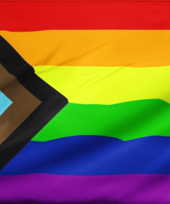 Progress Pride Flag PN0112 2 - Lesbian Flag 2x3 ft (60x90cm) / No Grommets Official PAN FLAG Merch