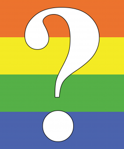 Questioning Pride Flag PN0112 2x3 ft (60x90 cm) / 2 Grommets left Official PAN FLAG Merch