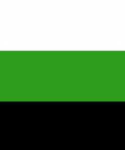 Neutrois Pride Flag PN0112 2x3 ft (60x90 cm) Official PAN FLAG Merch