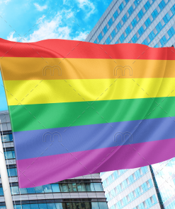 Gay Pride Rainbow Flag PN0112 5 - Lesbian Flag 3x5 ft (90x150cm) / No Grommets Official PAN FLAG Merch