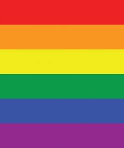 2x3 ft (60x90cm) / 4 Corner Grommets Official PAN FLAG Merch