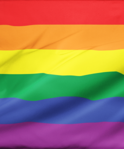 Gay Pride Rainbow Flag PN0112 6 - Lesbian Flag 4x6 ft (120x180cm) / 2 Grommets Left Official PAN FLAG Merch