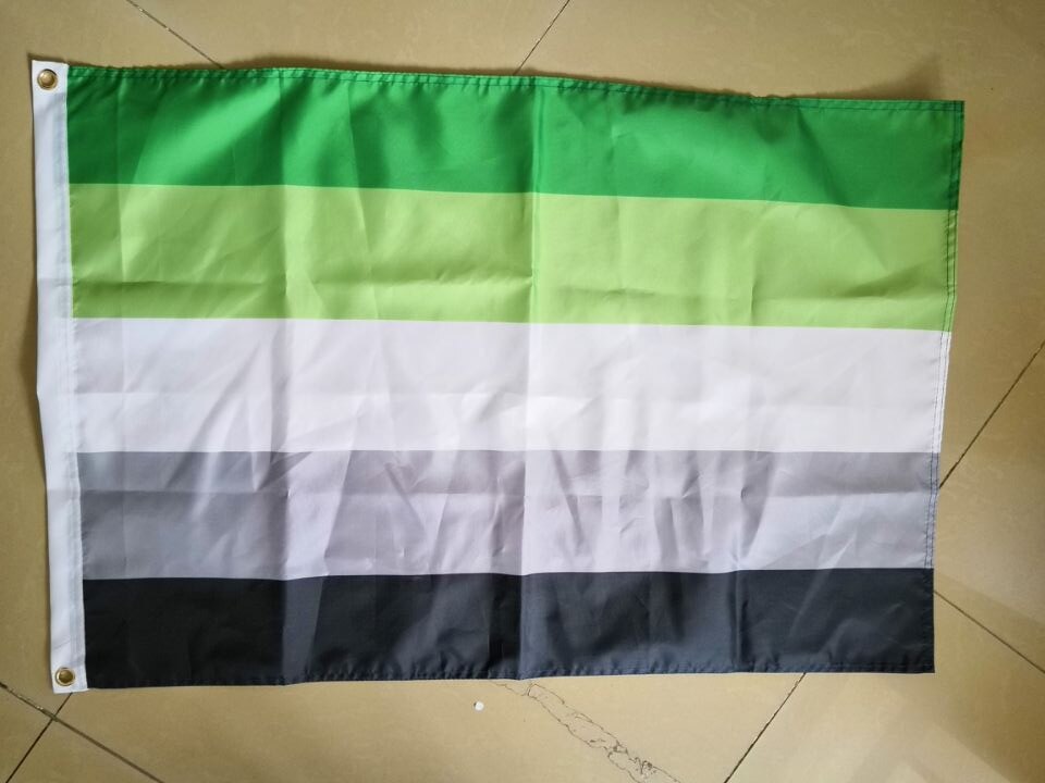 real_aromantic 3x5 ft (90x150 cm) / 2 Grommets left Official PAN FLAG Merch