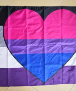 Asexual Biromantic Pride Flag PN0112 4 - Lesbian Flag 3x5 ft (90x150 cm) / 4 Grommets Official PAN FLAG Merch