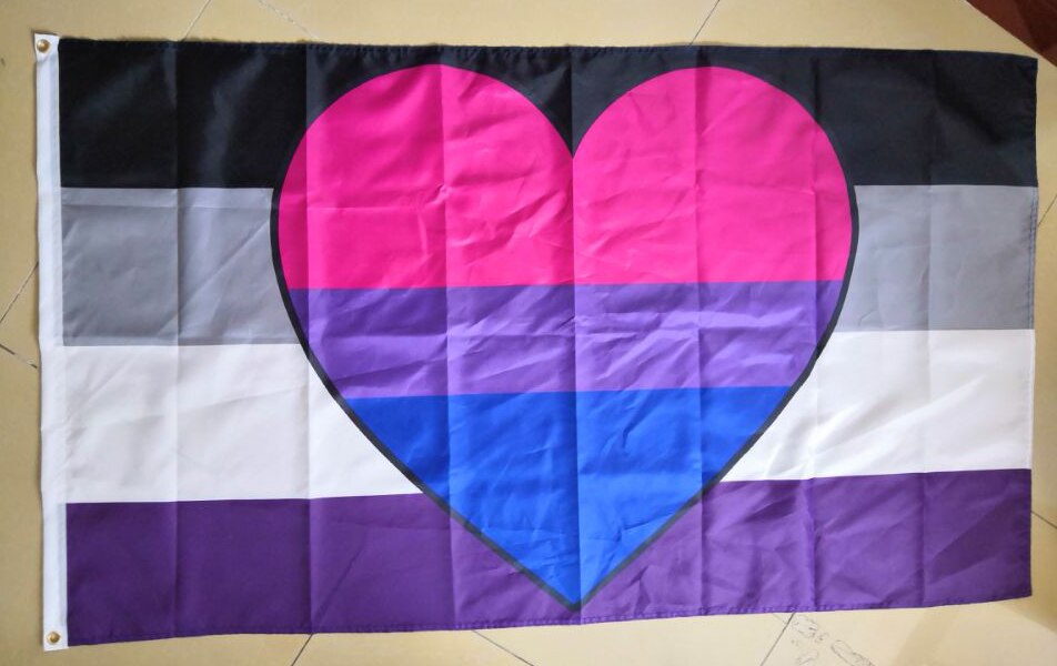real_asexual_biromantic 3x5 ft (90x150 cm) / 4 Grommets Official PAN FLAG Merch