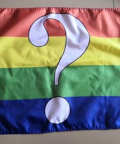 2x3 ft (60x90 cm) / 4 Grommets Official PAN FLAG Merch