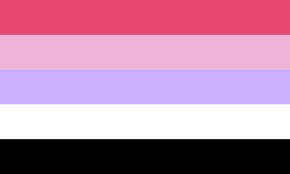 reciprosexualflag Reciprosexual flag PN0112 2x3 ft (60x90cm) / 2 Grommet Left Official PAN FLAG Merch