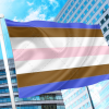 Tomboy Pride Flag PN0112 2x3 ft (60x90cm) / 2 Left Grommets Official PAN FLAG Merch