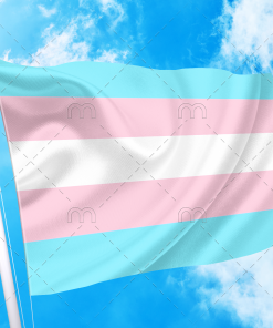 Transgender Pride Flag - Trans Flag PN0112 2 - Lesbian Flag 3x5 ft (90x150cm) / No grommets Official PAN FLAG Merch