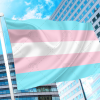 Transgender Pride Flag - Trans Flag PN0112 3x5 ft (90x150cm) / 2 grommets left side Official PAN FLAG Merch