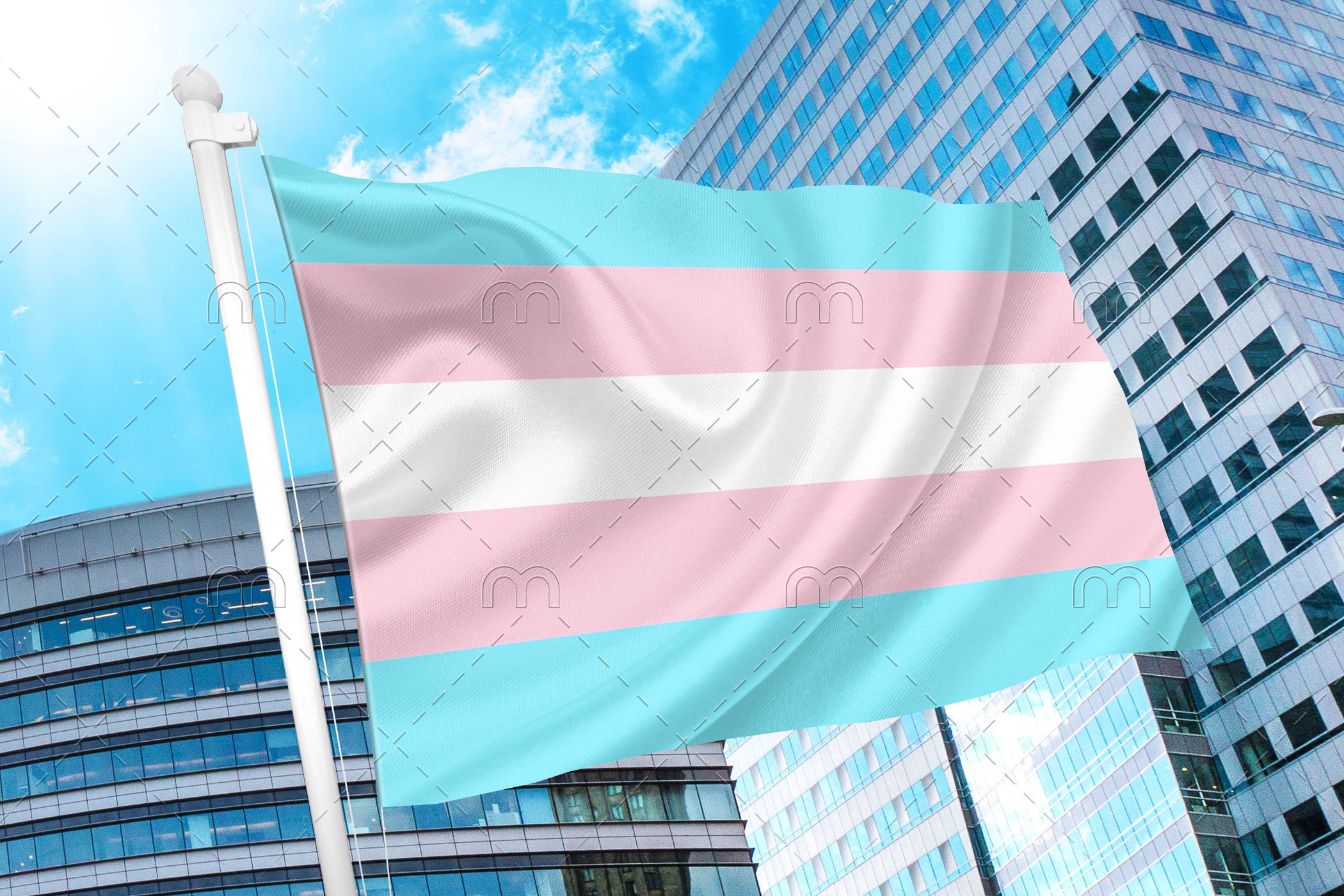 trans1 Transgender Pride Flag - Trans Flag PN0112 3x5 ft (90x150cm) / 2 grommets left side Official PAN FLAG Merch