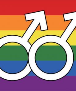 Pride Homosexual Rainbow Flag-Large1 PN0112 3x5 ft (90x150 cm) / 2 Grommets left Official PAN FLAG Merch