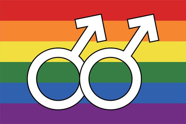 v-2__-2092786259 Pride Homosexual Rainbow Flag-Large1 PN0112 3x5 ft (90x150 cm) / 2 Grommets left Official PAN FLAG Merch